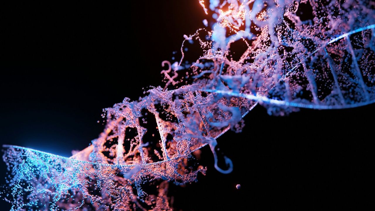 Illustration of a DNA double helix